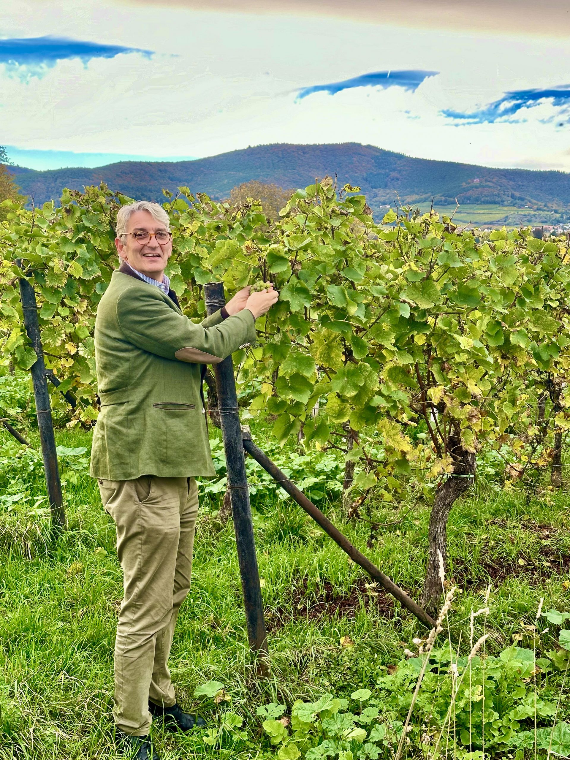 Weinkontor Wetzel – Einblick in das Weingut